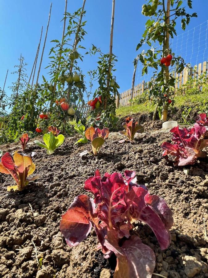 הוילה טוסקולנו מדרנו Agriturismo San Lorenzo Di Persegno מראה חיצוני תמונה